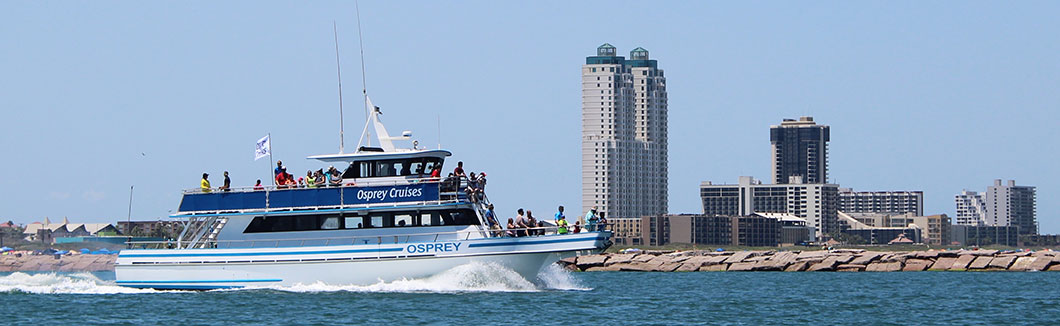 osprey cruises tours